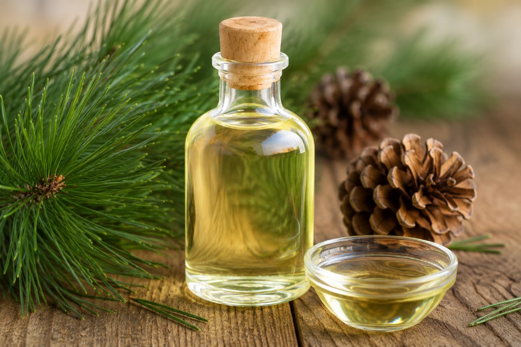 Aceite de pino